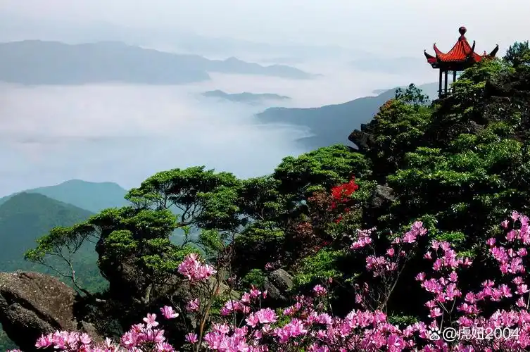 江西景点:崇义阳明山国家森林公园