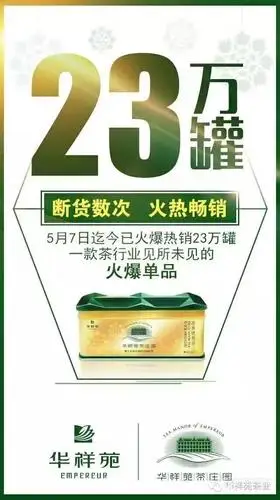 回归传统 品质为王 茶业转型核心是让产品得到消费者的认同