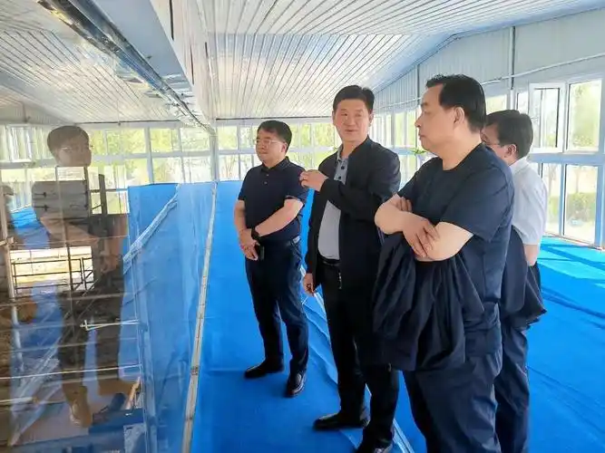 许树德赴润泽智算科技和龙江元盛对接洽谈招商合作