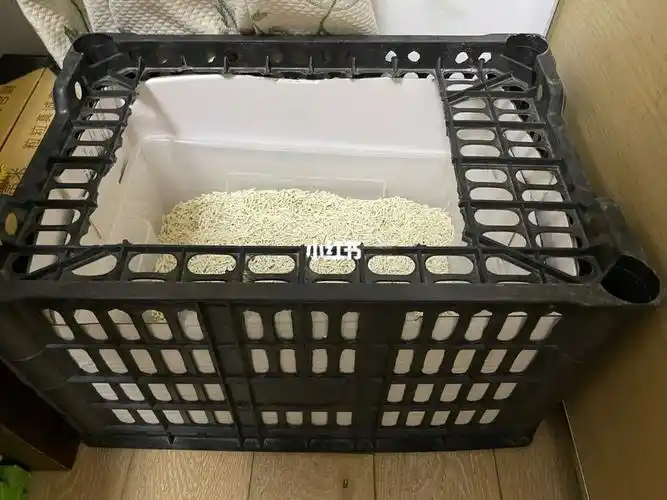 自制猫砂盆
