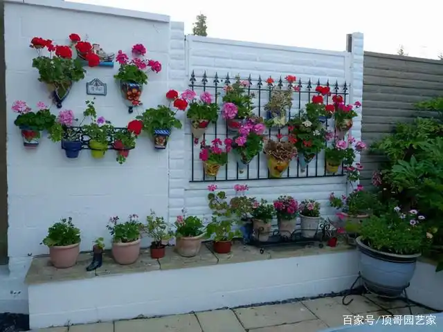 6种花墙的做法让你的花园连墙面都美美的