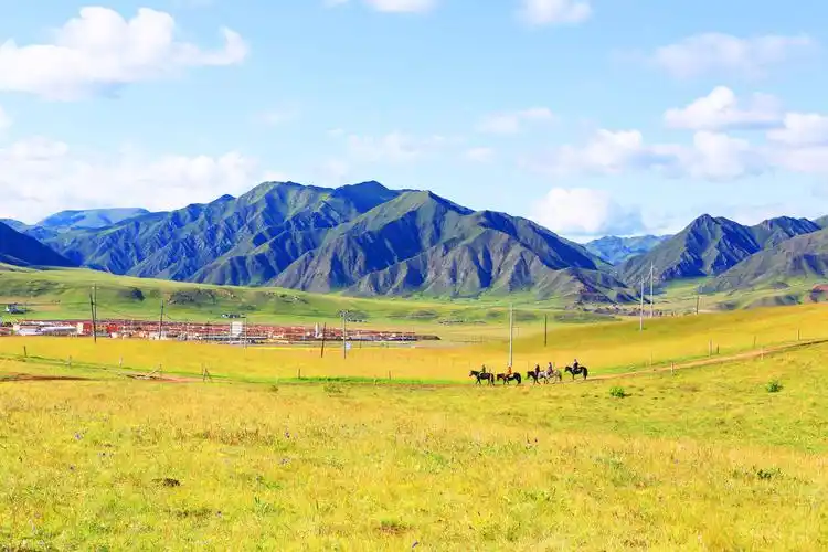 九色甘南之旅(桑科草原——这里离天很近)