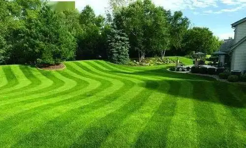 绿化养护草坪修剪全攻略