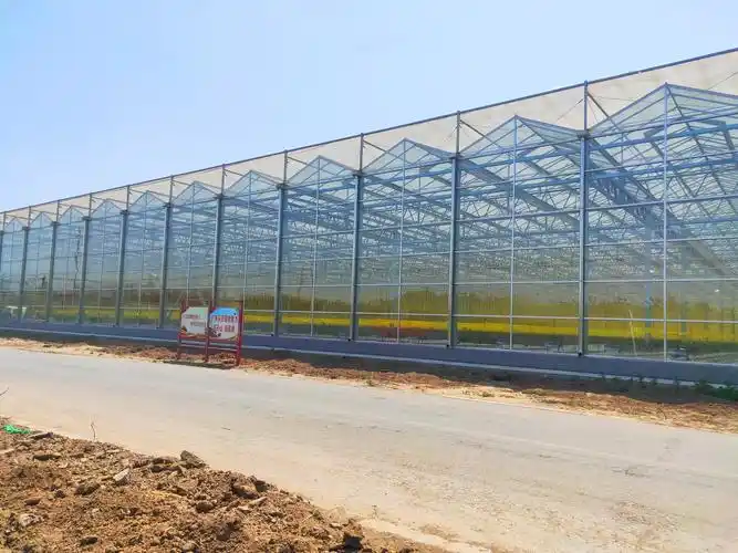 温室大棚建造需要了解哪些知识点_新闻中心_青州市广源温室工程有限公
