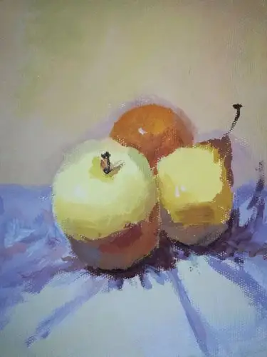 静物水粉初级阶段