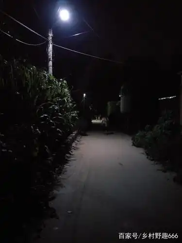乡村的夜晚静悄悄