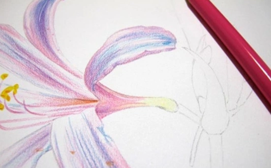 彩铅画换锦花详细教程步骤图 - 第5页 - 水彩迷