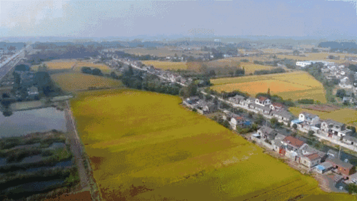 丹徒上榜啦江苏省首批乡镇电子商务特色产业园街区名单出炉