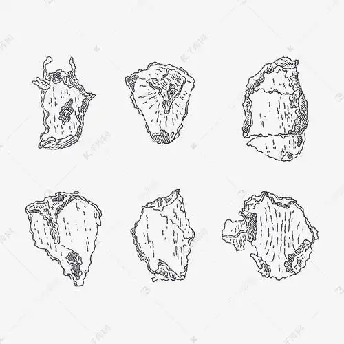 手绘黑白线条简笔画树皮碎纸考古