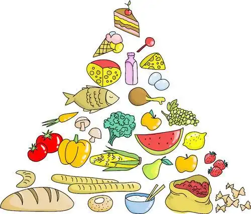 健康与饮食金字塔简笔画