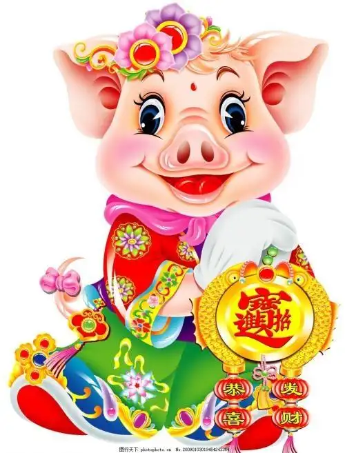猪年说猪
