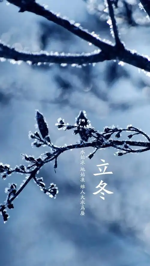 二十四节气立冬