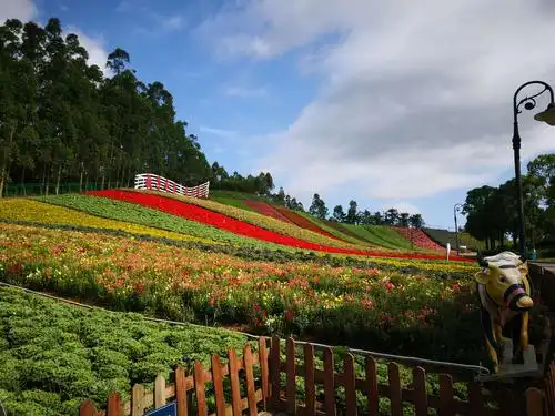 漳州长泰十里蓝山