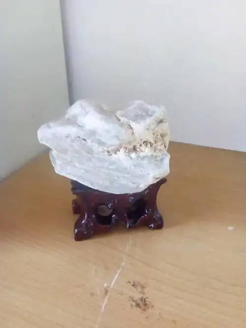 题名:白龙龙头.石种:白英石 产地:渭河 #奇石 #捡石头  - 抖音