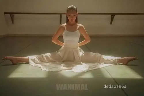 王动国内人体艺术摄影写真最强摄影师