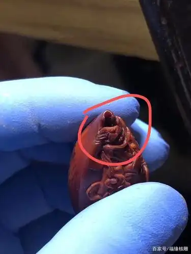 橄榄核雕裂了怎么办?别怕,有无痕修复!