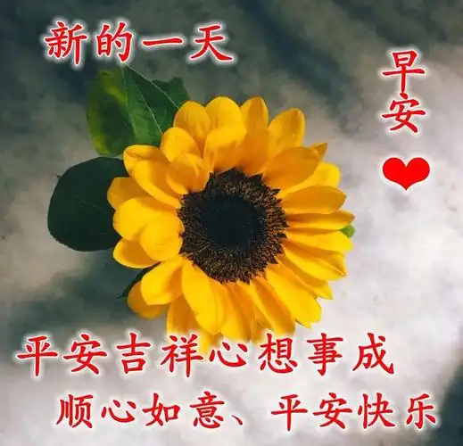 最新早安祝福暖心图片 最美的早上好问候图片带字