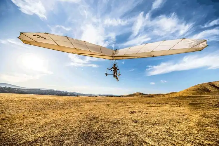 山鹰统治的这片天空被我们"接管"了?