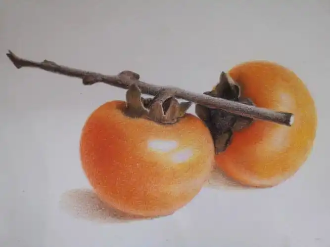 彩铅练习好久没有吃过这么饱满的柿子