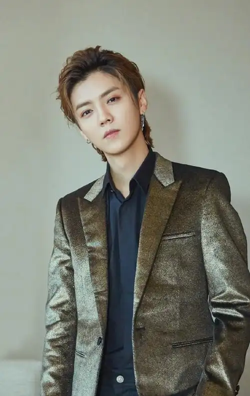 鹿晗图片鹿晗金色西装帅气图片