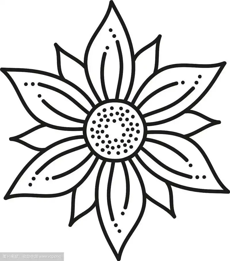 黑白圆形对称六角形花