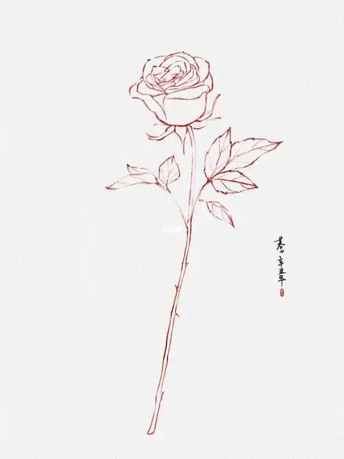 玫瑰花画画玫瑰花画画教程
