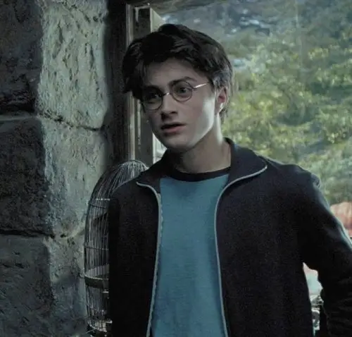 哈利波特头像楼