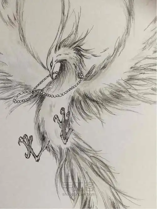 换换口味画个神兽! 第8步