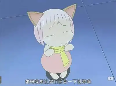 阿布的热带雨林