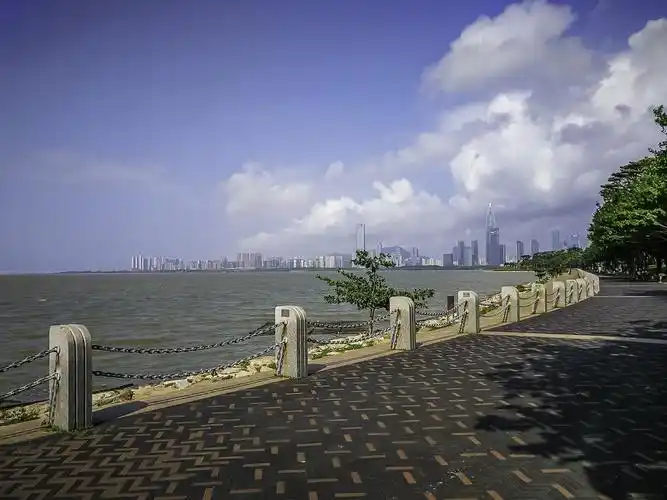 深圳湾公园掠影