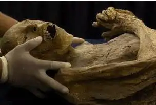 尸交是什么,尸交会怎么样(和尸体交媾的变态肉欲)