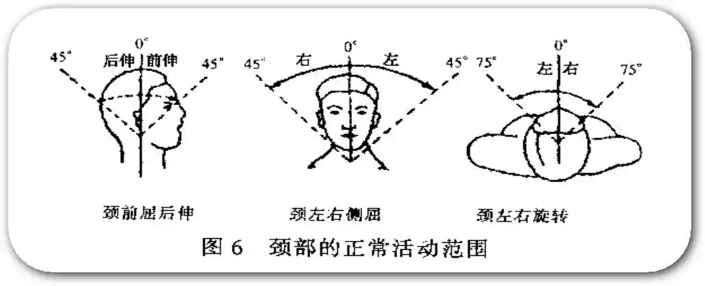 颈部正常活动范围.jpg
