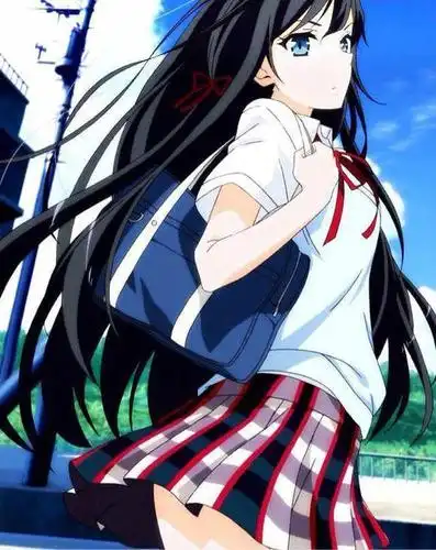 最有魅力的动漫黑发女角top20,罗宾未进前10,米卡莎第8