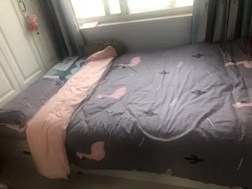 2月11日打扫整理自己的房间(马蔚然)