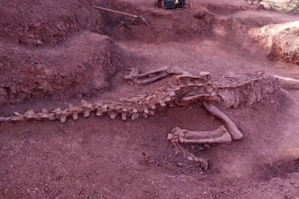 云南省禄丰县再现亿年前恐龙化石