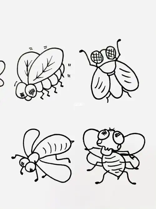 动物简笔画苍蝇