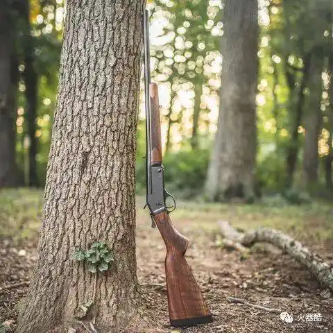 西部野性之美亨利杠杆步枪美图欣赏