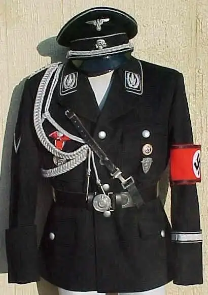 纳粹德国有一种军官服是只有一个肩章的,是什么兵种.