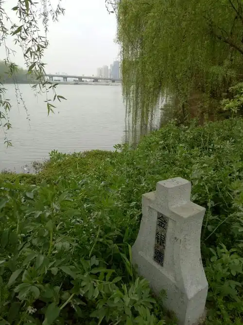 金银潭~张公堤城市森林公园