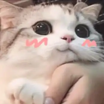 这些火遍全网的"表情包",可能大多来自某站!火到被游戏商侵权