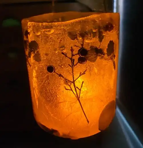 不负冬日好时光—植物冰灯