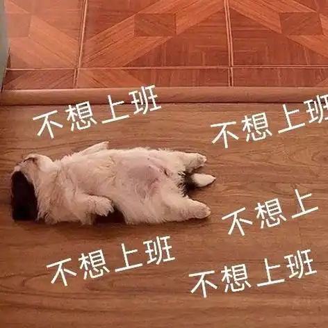 不想上班不想上班不想上不想上班不想上班