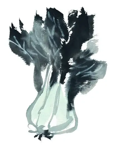 白菜用水墨画视频