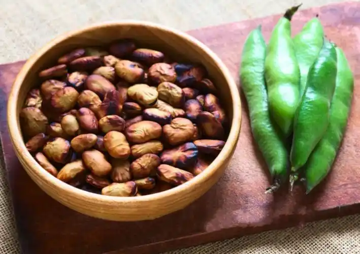 巴豆的中药药性_美健品招商网