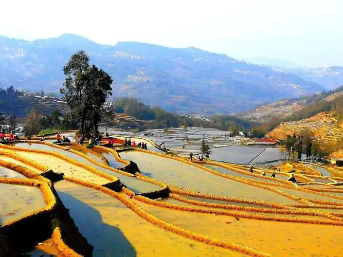 元阳哈尼梯田(一)箐口,麻栗寨,坝达