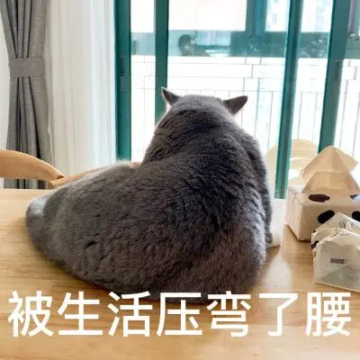 表情包——丧被生活压弯了腰