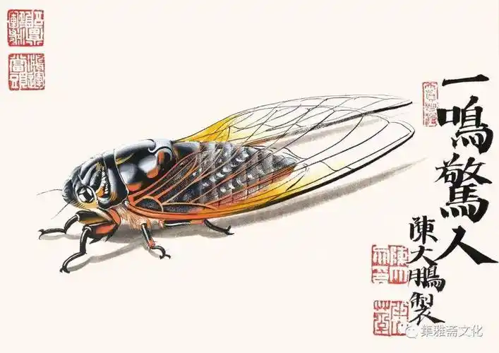 大写意40000每平尺工笔蝉80000每平尺目前市场润格价2022年出版(微观