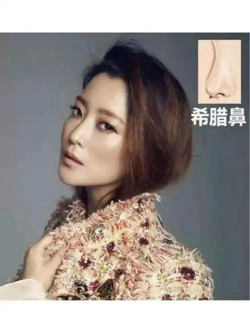 希腊鼻适合方脸,鼻梁和山根较高,但是鼻尖高于鼻梁. 2,小翘鼻