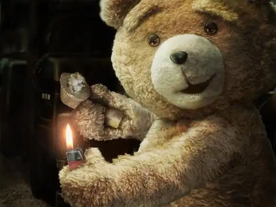 p>《泰迪熊》(ted)是由 a target="_blank" href="/item/塞思·麦克