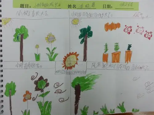 优秀绘本3:《小树苗的成长》